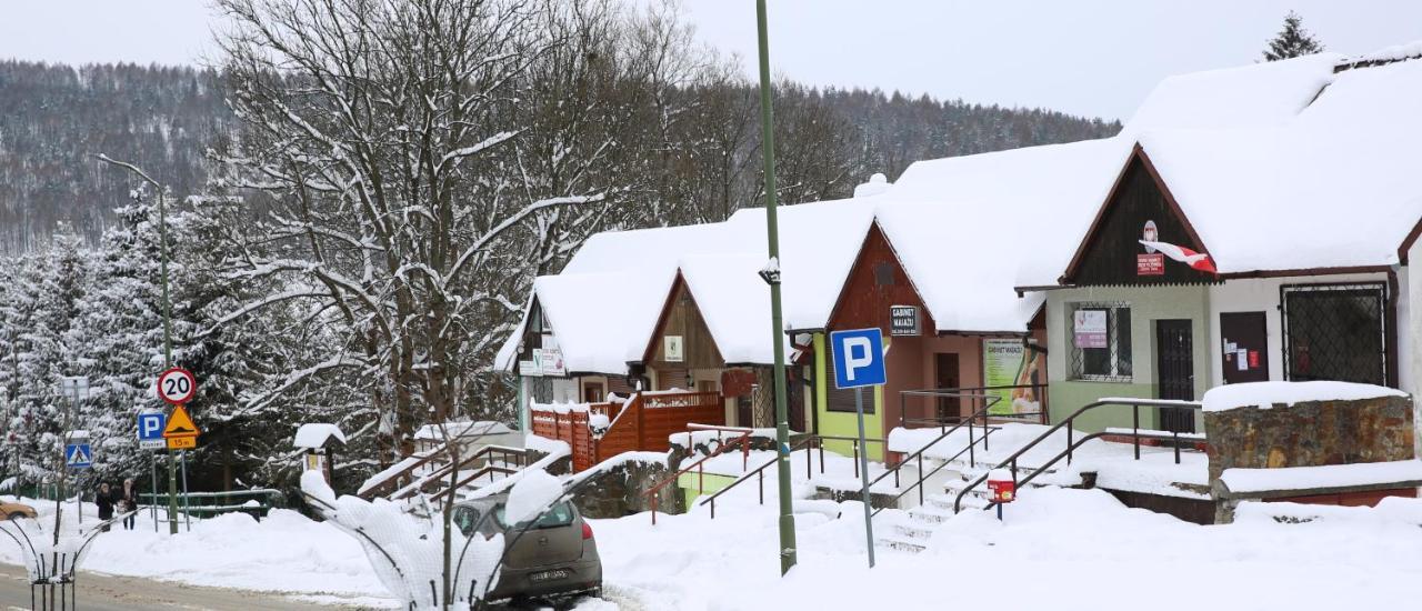Apartament Dla Dwojga Ustrzyki Dolne Eksteriør billede