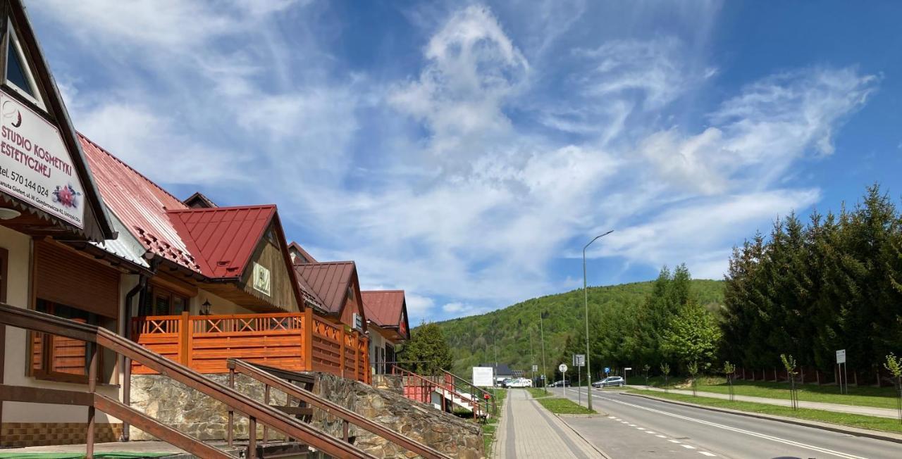 Apartament Dla Dwojga Ustrzyki Dolne Eksteriør billede